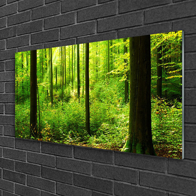 Glass Wall Art Forest nature brown green