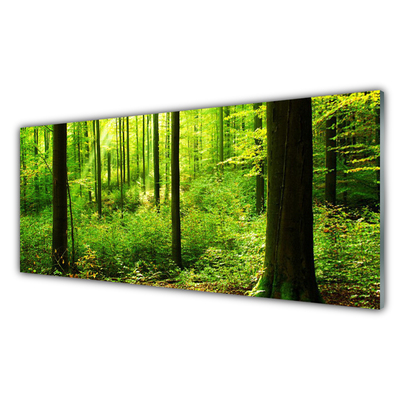 Glass Wall Art Forest nature brown green