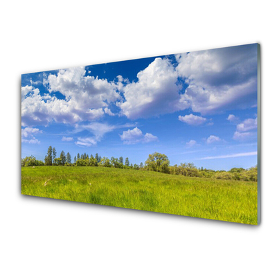 Glass Wall Art Meadow grass landscape green