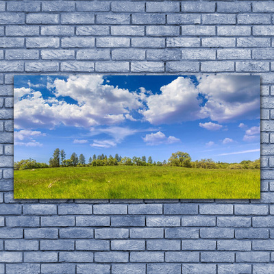 Glass Wall Art Meadow grass landscape green