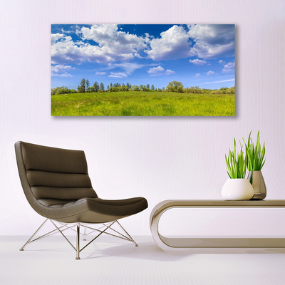 Glass Wall Art Meadow grass landscape green