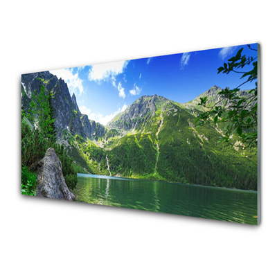 Glass Wall Art Mountain lake nature grey green