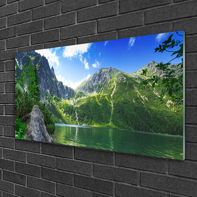 Glass Wall Art Mountain lake nature grey green