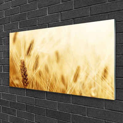 Glass Wall Art Wheat floral yellow