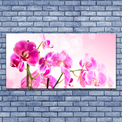 Glass Wall Art Flowers floral pink