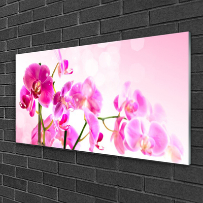 Glass Wall Art Flowers floral pink