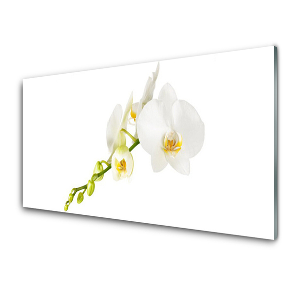 Glass Wall Art Flowers floral white