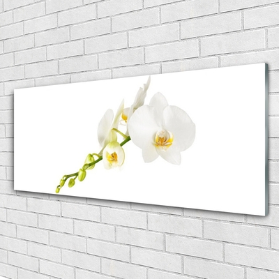 Glass Wall Art Flowers floral white