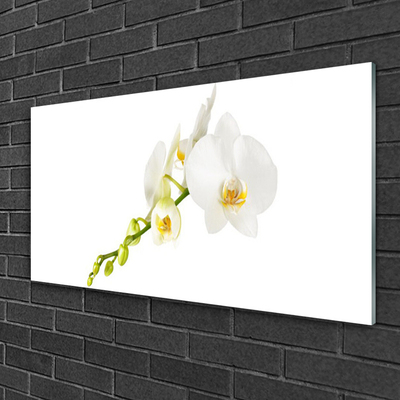 Glass Wall Art Flowers floral white