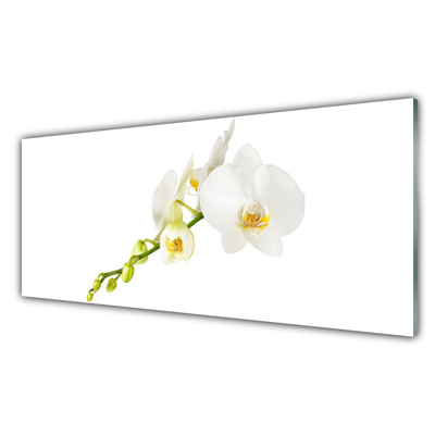 Glass Wall Art Flowers floral white