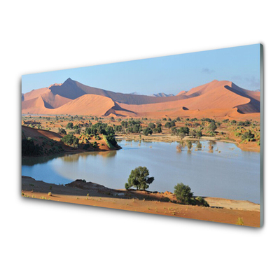 Glass Wall Art Bay desert landscape brown green blue