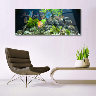 Glass Wall Art Fish stones leaves nature blue yellow grey green