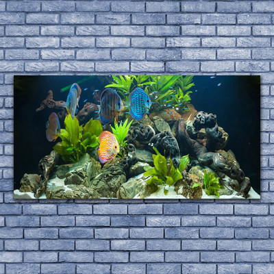 Glass Wall Art Fish stones leaves nature blue yellow grey green