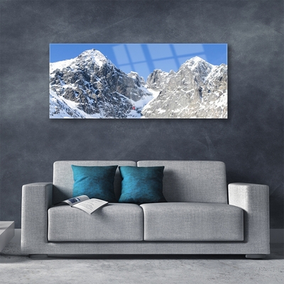 Glass Wall Art Mountain snow landscape grey white