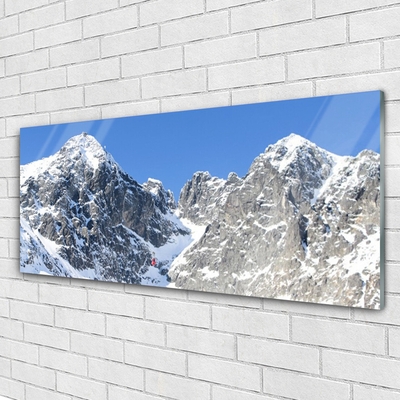 Glass Wall Art Mountain snow landscape grey white