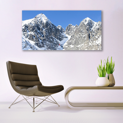 Glass Wall Art Mountain snow landscape grey white