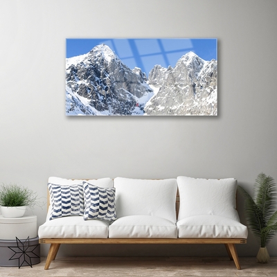 Glass Wall Art Mountain snow landscape grey white