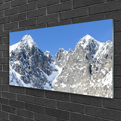 Glass Wall Art Mountain snow landscape grey white