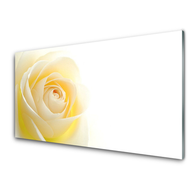 Glass Wall Art Rose floral white yellow