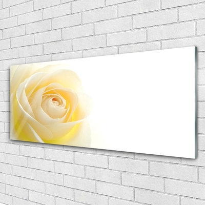 Glass Wall Art Rose floral white yellow