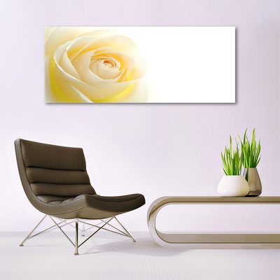 Glass Wall Art Rose floral white yellow