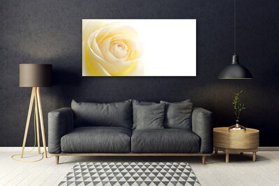 Glass Wall Art Rose floral white yellow