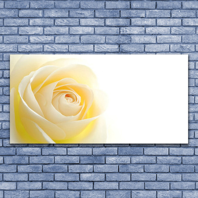 Glass Wall Art Rose floral white yellow