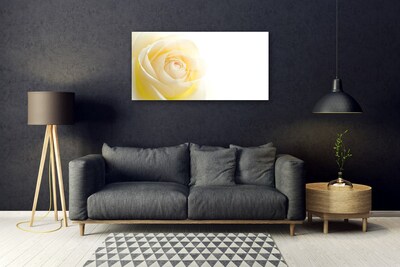 Glass Wall Art Rose floral white yellow