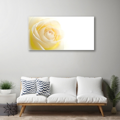 Glass Wall Art Rose floral white yellow