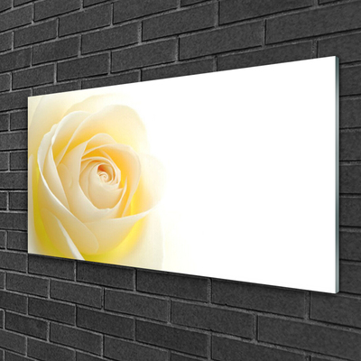 Glass Wall Art Rose floral white yellow