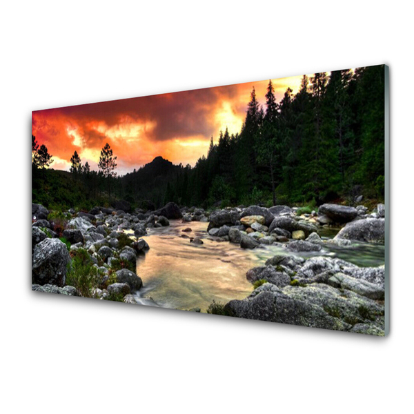 Glass Wall Art Lake stones forest nature green grey yellow