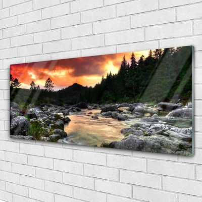 Glass Wall Art Lake stones forest nature green grey yellow