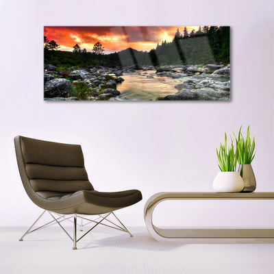 Glass Wall Art Lake stones forest nature green grey yellow