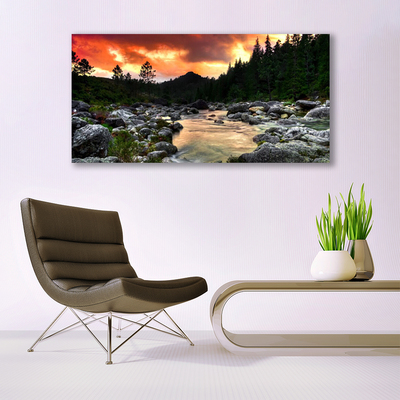 Glass Wall Art Lake stones forest nature green grey yellow