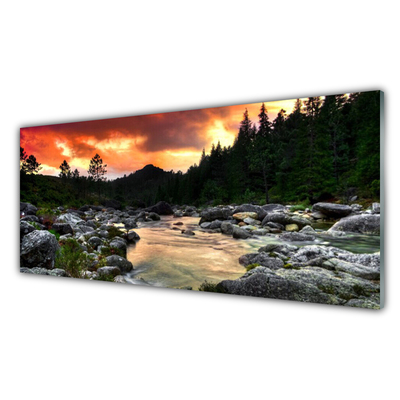 Glass Wall Art Lake stones forest nature green grey yellow