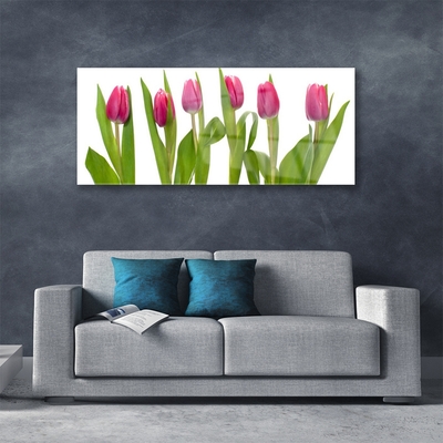 Glass Wall Art Tulips floral red