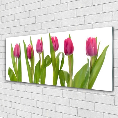 Glass Wall Art Tulips floral red