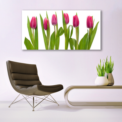 Glass Wall Art Tulips floral red