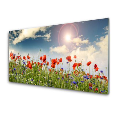 Glass Wall Art Meadow flowers nature green red purple white