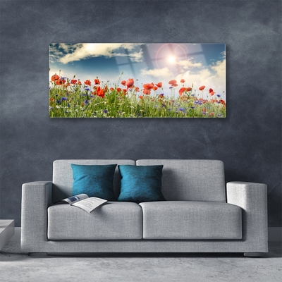 Glass Wall Art Meadow flowers nature green red purple white