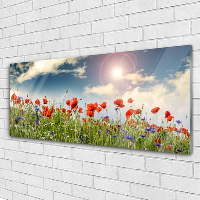 Glass Wall Art Meadow flowers nature green red purple white