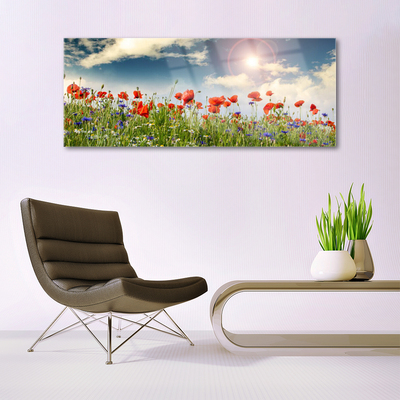 Glass Wall Art Meadow flowers nature green red purple white