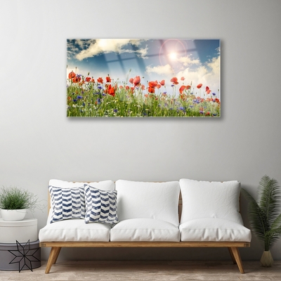 Glass Wall Art Meadow flowers nature green red purple white