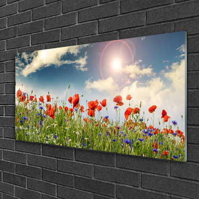 Glass Wall Art Meadow flowers nature green red purple white