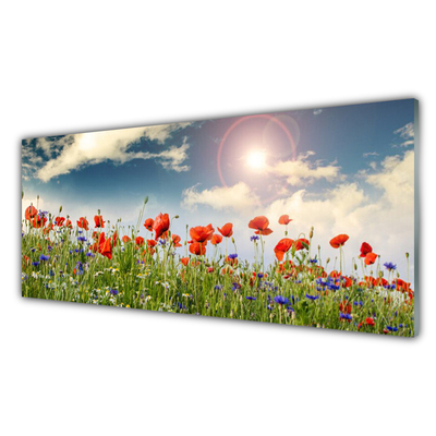 Glass Wall Art Meadow flowers nature green red purple white