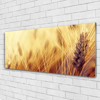 Glass Wall Art Wheat floral brown