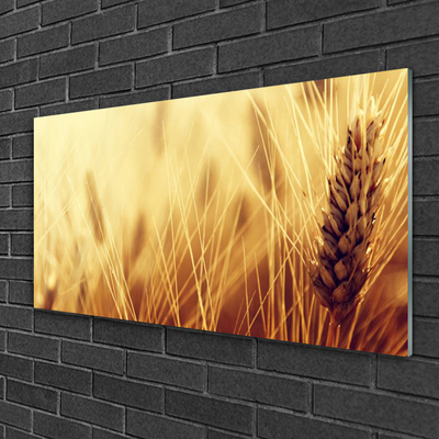 Glass Wall Art Wheat floral brown