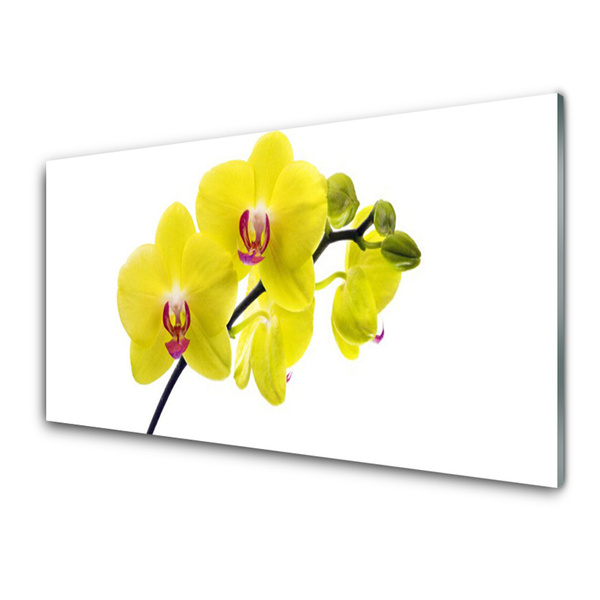 Glass Wall Art Flowers floral green