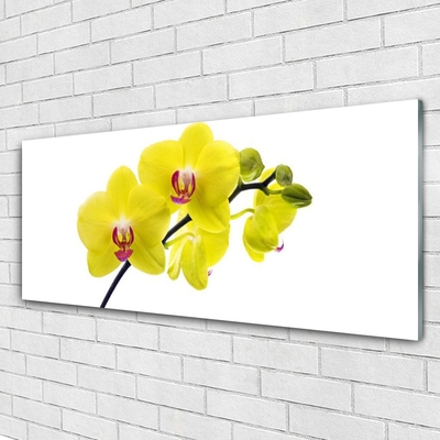 Glass Wall Art Flowers floral green