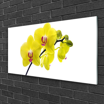 Glass Wall Art Flowers floral green